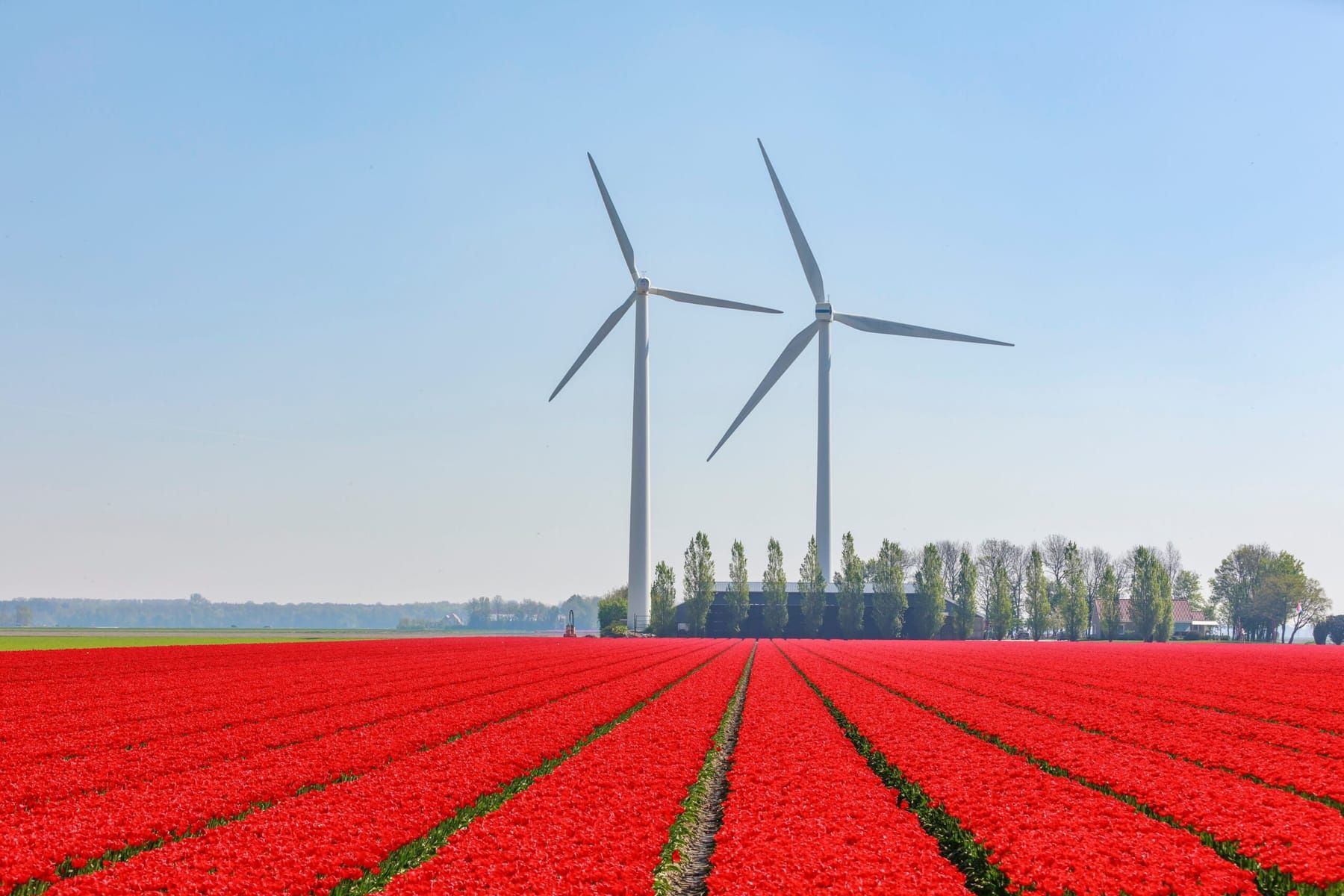 Windturbines in een open landschap